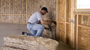 Types of Insulation We Offer in Wildwood, FL